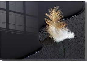 Szklany obraz 70x50 cm Feather – Wallity