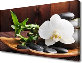 Obraz canvas Harmonijny Duet: Bambus i Storczyk