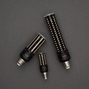 Żarówka LED ze ściemniaczem z ciepłym światłem z gwintem E14, 11 W Light Engine – tala