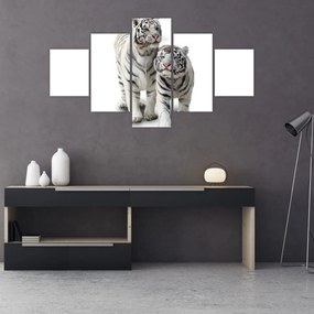 Obraz - Biały Tygrys (125x70 cm)