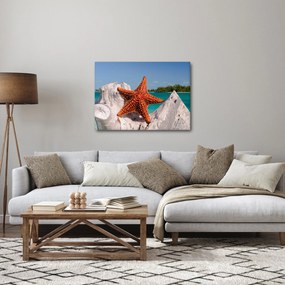 Obraz rozgwiazdy (70x50 cm)
