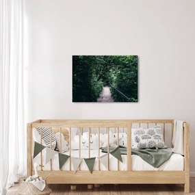 Obraz - Ścieżka przez las (70x50 cm)