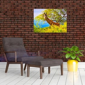 Obraz żyrafy w Afryce (70x50 cm)
