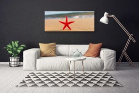 Obraz na płótnie Skarby Morza: Rozgwiazda