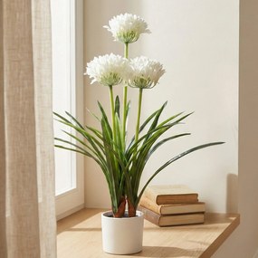 Sztuczny kwiat w doniczce Agapant, 50 x 80 cm