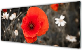 Panel Kuchenny Harmonijna Roślinność Kwiatowa