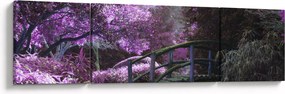 Obraz fioletowego ogrodu (170x50 cm)