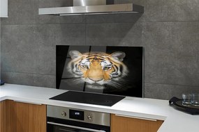 Panel szklany do Kuchni Portret Dzikiego Tygrysa