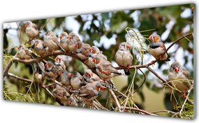 Panel Kuchenny Ptaki W Locie Nad Lasem