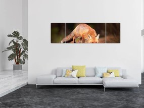 Obraz - Lis w lesie (170x50 cm)