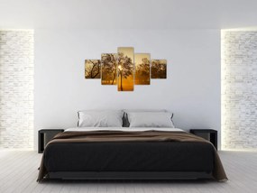 Obraz wschodu słońca (125x70 cm)