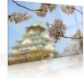 Obraz na szkle - Sakura (70x50 cm)