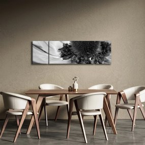 Obraz - Kwiat w czerni i bieli (170x50 cm)