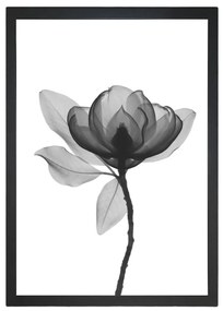 Obraz 24x29 cm Harmony Flower – Vavien Artwork