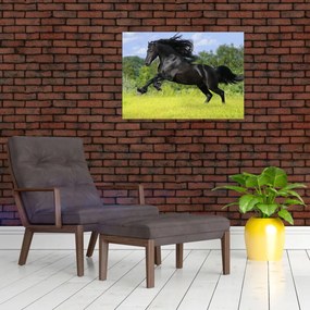 Obraz na szkle - Koń z płynącą grzywą (70x50 cm)