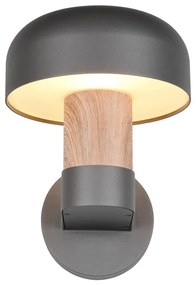 Zewnętrzna lampa ścienna (wysokość 24,5 cm) Fraser – Trio