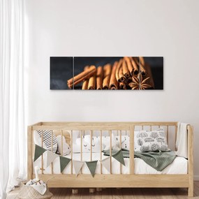Obraz cynamonu (170x50 cm)