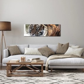 Obraz tygrysa (z zegarem) (90x30 cm)