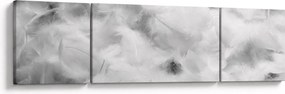 Obraz - Chmury piór (170x50 cm)