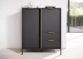 Komoda Zante – elegancka komoda w kolorze antracytowym ze złotymi detalami, 2-drzwiowa z 2 szufladami