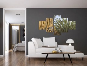 Obraz - Strzyżyk (125x70 cm)