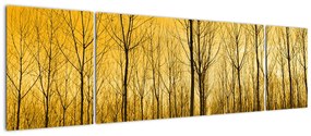 Obraz lasu o zachodzie słońca (170x50 cm)