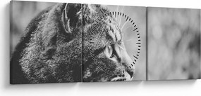 Obraz - Kot (z zegarem) (90x30 cm)