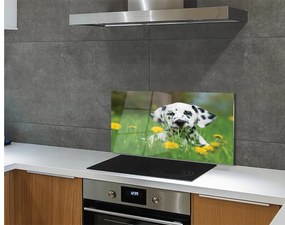 Szklany Panel Łąka pies