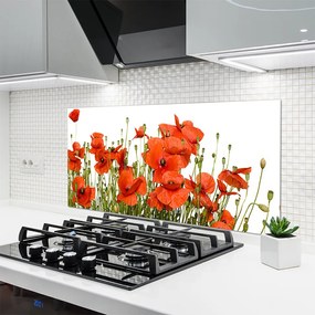 Panel Kuchenny Polne Maki W Słońcu