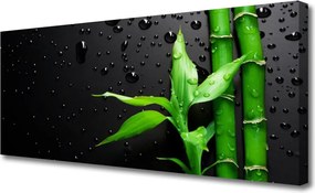 Obraz canvas na ścianę Tropikalny Motyw Bambusa