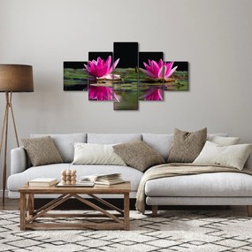 Obraz lilii wodnych na wodzie (125x70 cm)