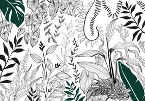 Fototapeta - Ogród botaniczny (196x136 cm)