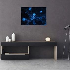 Obraz - Meduza (70x50 cm)