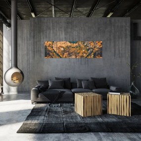 Obraz - Rzeka w kształcie serca (170x50 cm)