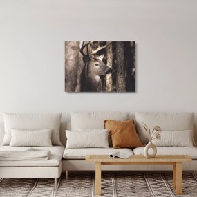 Obraz na szkle - Jeleń w lesie (70x50 cm)