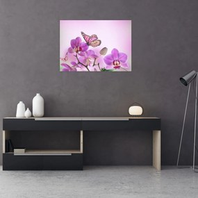 Obraz - Motyl na kwiatach orchidei, liliowy (70x50 cm)