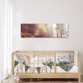Obraz - Jesienny spacer po lesie (170x50 cm)
