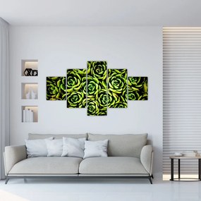Obraz bez grzywki (125x70 cm)