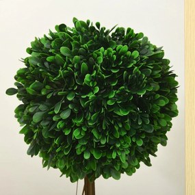 HOMCOM 2 sztuki sztucznych drzew bukszpanowych Sztuczna roślina sztuczne rośliny, w tym listek sztuczny, 1 donica, 28 cm x 28 cm x 60 cm, Zielony