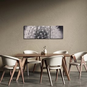 Obraz dmuchawca (z zegarem) (90x30 cm)