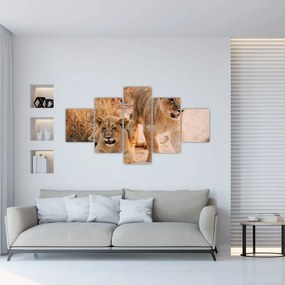 Obraz lwiątek (125x70 cm)