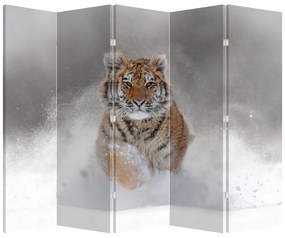 Parawan - Tygrys biegnący po śniegu (210x170 cm)