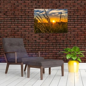 Obraz na szkle - pole o zachodzie słońca (70x50 cm)