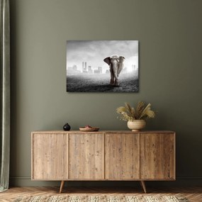 Obraz - Słonie w wielkim mieście, wersja czarno - biała (70x50 cm)