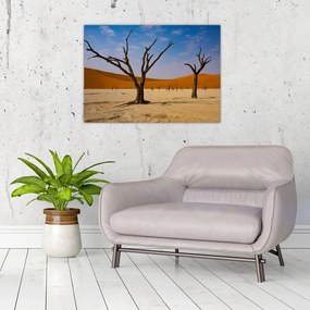 Obraz na szkle - Dolina Śmierci (70x50 cm)