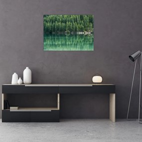 Obraz - drzewa iglaste nad jeziorem (70x50 cm)