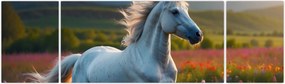 Obraz - Jednorożec (170x50 cm)