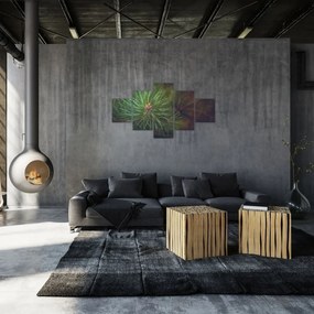 Obraz - Detal sosny (125x70 cm)