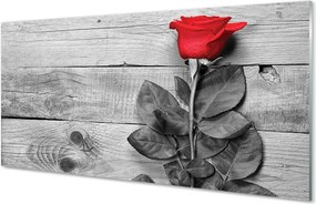 Szklany Panel Czerwona Róża