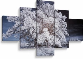 Obraz - Śnieżnobiałe drzewo (125x70 cm)